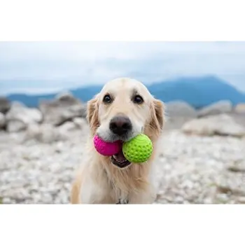 Kiwi Walker Let's Play Ball Mini piłka różowa