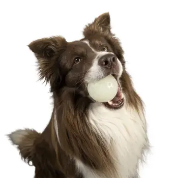 Kiwi Walker Let's Play Glow Ball Mini piłka