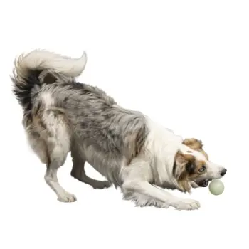 Kiwi Walker Let's Play Glow Ball Mini piłka