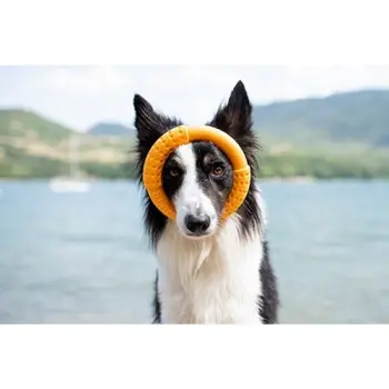 Kiwi Walker Let's Play Ring Maxi pomarańczowy