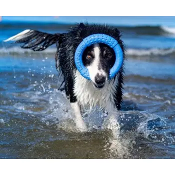 Kiwi Walker Let's Play Ring Maxi niebieski