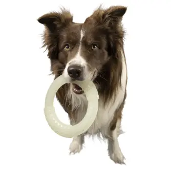 Kiwi Walker Let's Play Glow Ring Mini