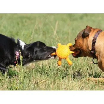 Kiwi Walker Let's Play Octopus Mini ośmiornica pomarańczowa