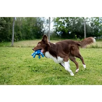 Kiwi Walker Let's Play Octopus Mini ośmiornica niebieska