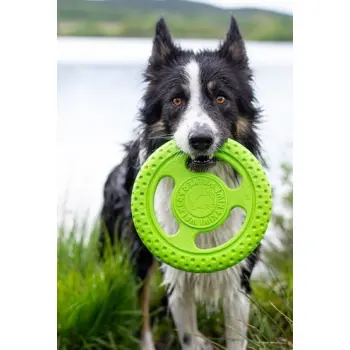 Kiwi Walker Let's Play Frisbee Mini różowe