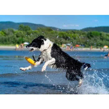 Kiwi Walker Let's Play Zeppelin Mini aport pomarańczowy