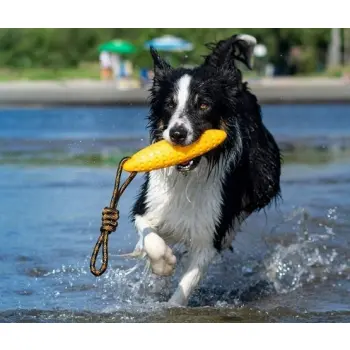 Kiwi Walker Let's Play Zeppelin Maxi aport pomarańczowy