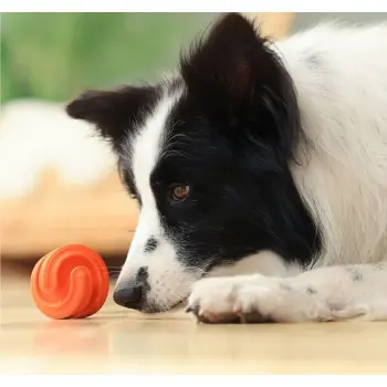 PetDreamHouse Zabawka gumowa Geo-Hex pomarańczowa