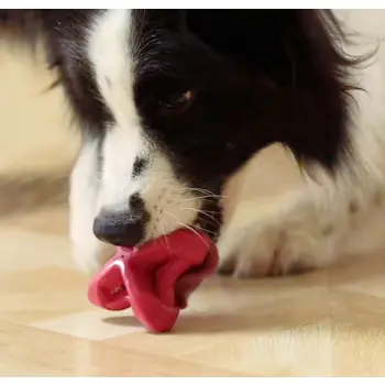 PetDreamHouse Zabawka gumowa Geo-Astro Rolly czerwona