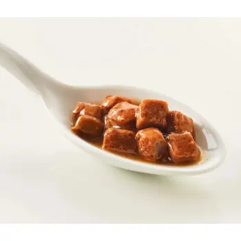 Kattovit Feline Diet Gastro kurczak i ryż saszetka 85g