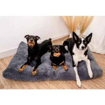 MIMIKO Pets Legowisko Shaggy prostokątne XXL 115x75cm grafitowe