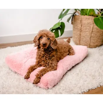 MIMIKO Pets Legowisko Shaggy prostokątne XL 85x65cm różowe