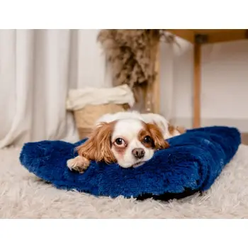 MIMIKO Pets Legowisko Shaggy prostokątne L 65x45cm chabrowe