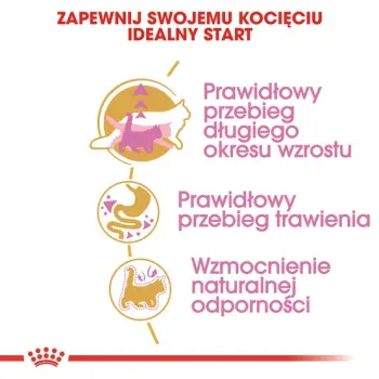 Royal Canin Maine Coon Kitten karma sucha dla kociąt, do 15 miesiąca, rasy maine coon 400g
