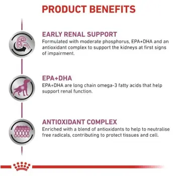 ROYAL CANIN Dog Early Renal 12x100g