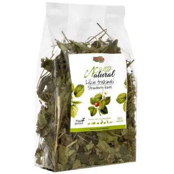 ALEGIA Liście Truskawki 90g