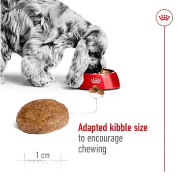 ROYAL CANIN Medium Adult 7+ 15kg