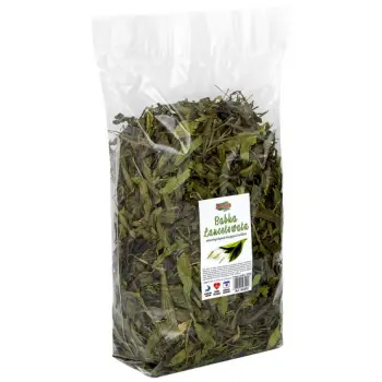 ALEGIA Babka Lancetowata 300g