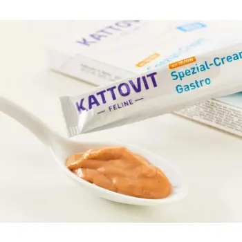 Kattovit Feline Pasta Gastro Cream 90g (6x15g)