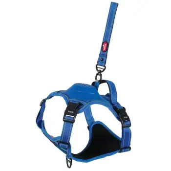 Zolux Szelki ze smyczą automatyczną Easyride S niebieskie