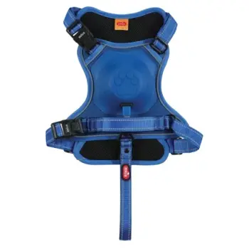 Zolux Szelki ze smyczą automatyczną Easyride XL niebieskie