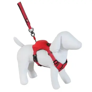 Zolux Szelki ze smyczą automatyczną Easyride XS czerwone