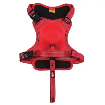 Zolux Szelki ze smyczą automatyczną Easyride L czerwone