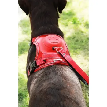 Zolux Szelki ze smyczą automatyczną Easyride L czerwone