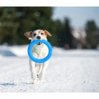 Collar PitchDog17 Pierścień do aportowania 17cm niebieski