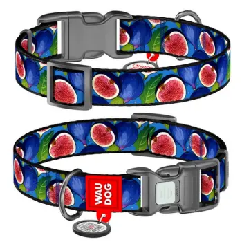 Collar WauDog Nylon Obroża nylonowa z QR-paszportem, plastikowy fastex, wzór FIGA, M 20mm/28-40cm