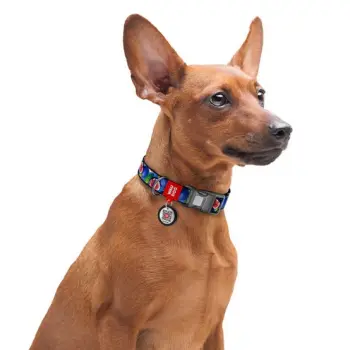 Collar WauDog Nylon Obroża nylonowa z QR-paszportem, plastikowy fastex, wzór FIGA, M 20mm/28-40cm