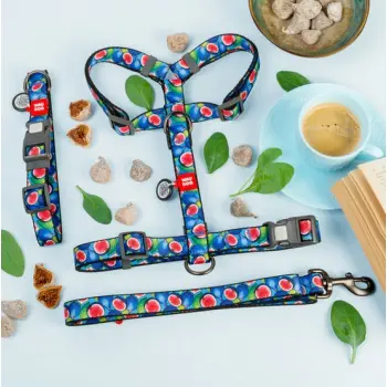 Collar WauDog Nylon Obroża nylonowa z QR-paszportem, plastikowy fastex, wzór FIGA, M 20mm/28-40cm