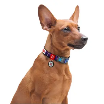 Collar WauDog Nylon Obroża nylonowa z QR-paszportem, plastikowy fastex, wzór NASA, 15mm/25-35cm