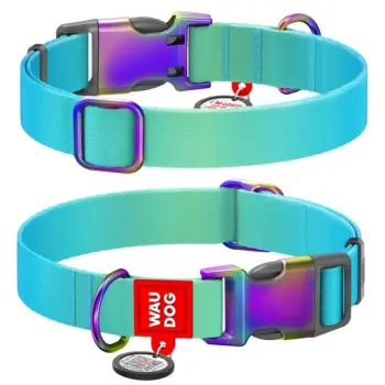Collar WauDog Recycled Obroża nylonowa z QR-paszportem, gradient M 20mm x 28-40cm niebieski