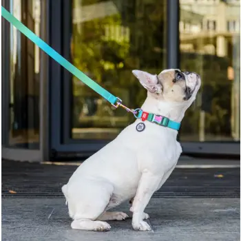 Collar WauDog Recycled Obroża nylonowa z QR-paszportem, gradient S 15mm x 25-35cm niebieski