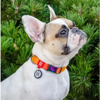 Collar WauDog Recycled Obroża nylonowa z QR-paszportem, gradient M 20mm x 28-40cm pomarańczowy