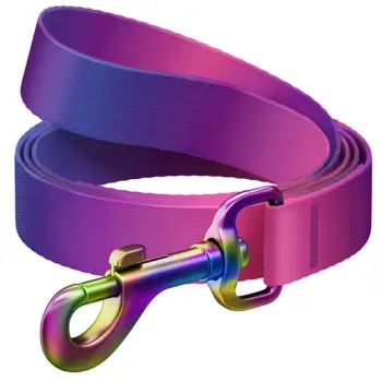 Collar WauDog Recycled Smycz nylonowa, gradient S 15mm/122cm fioletowy