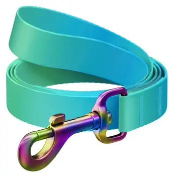 Collar WauDog Recycled Smycz nylonowa, gradient M 20mm/122cm niebieski