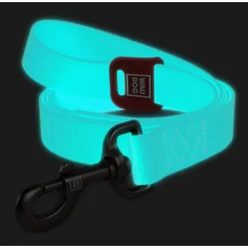 Collar WauDog Waterproof Smycz wodoodporna akumulująca światło M 20mm/183cm