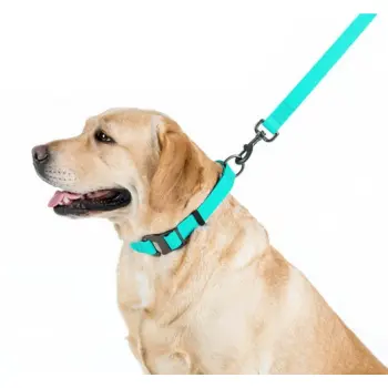Collar WauDog Waterproof Smycz wodoodporna akumulująca światło M 20mm/183cm
