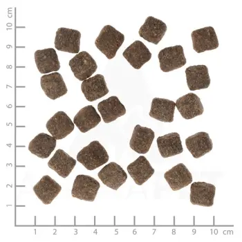 Wolfsblut Dog Dark Forest Small - dziczyzna i bataty 2kg