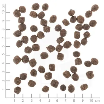 Wolfsblut Dog Range Lamb Adult Small - jagnięcina i ryż 2kg