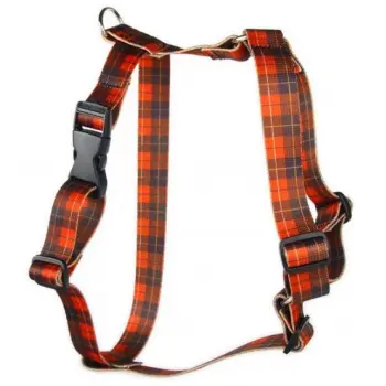 Matteo Szelki Guard 15mm szkocka krata