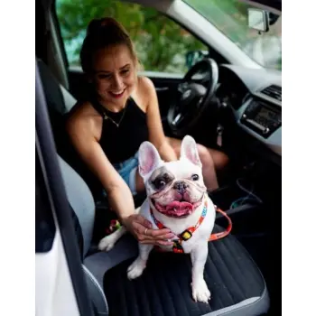 Matteo Szelki Guard 20mm graffiti czerwone