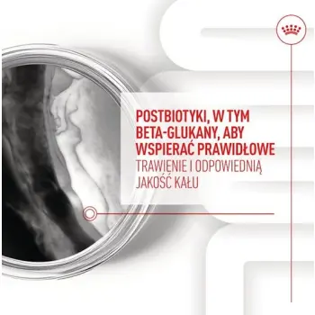 Royal Canin Immunity & Digestion Chews Puppy Supplements 100g