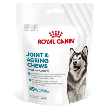 Royal Canin Joint & Ageing Chews Adult Supplements 240g