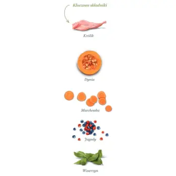 Amanova Dog Adult Digestive Divine Rabbit - królik 2kg