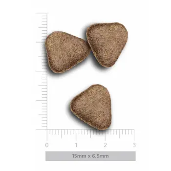 Amanova Dog Adult Exigent Iberian Pork - wieprzowina 2kg