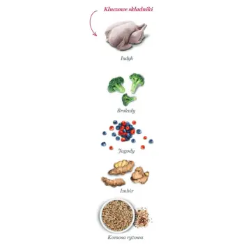 Amanova Dog Adult Obesity Turkey Delight - indyk 10kg