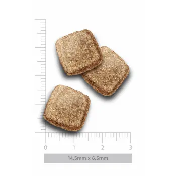 Amanova Dog Adult Obesity Turkey Delight - indyk 2kg